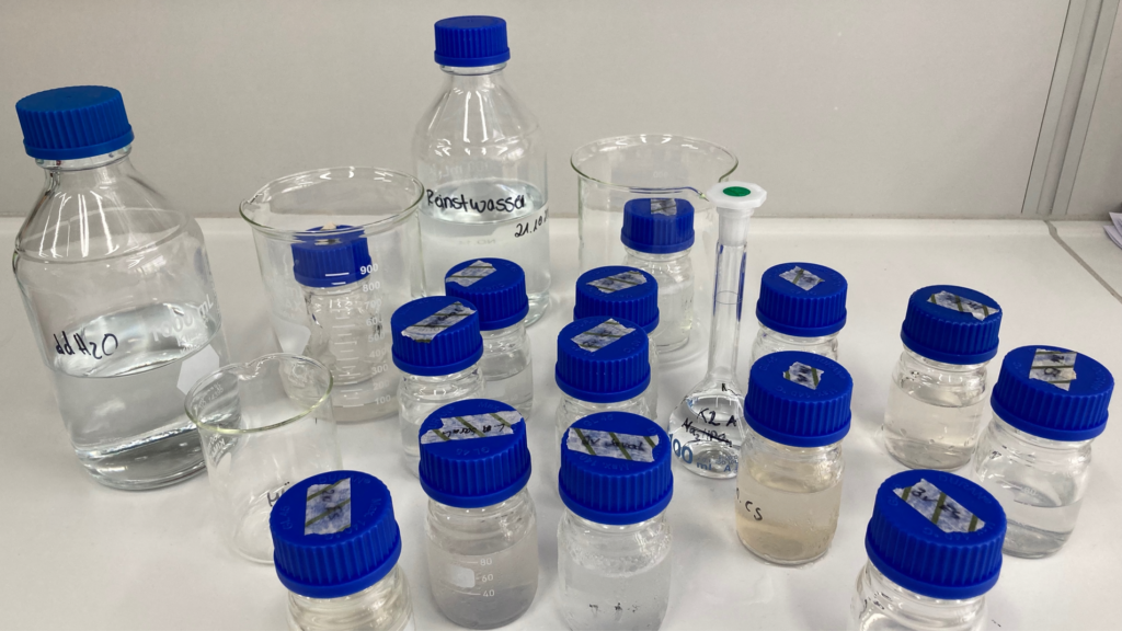 Verdünnte und anschließend autoklavierte Speichelproben in Laborflaschenn